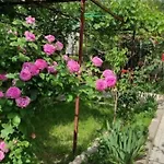 Апартаменты Acan Guenluek Kiralik Ev Ургуп
