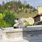 Апартаменты Acan Guenluek Kiralik Ev *