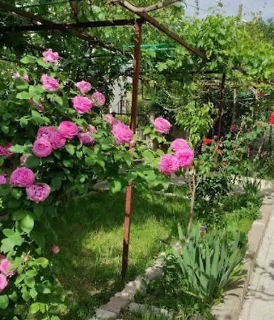 Apartment Acan Guenluek Kiralik Ev Urgup