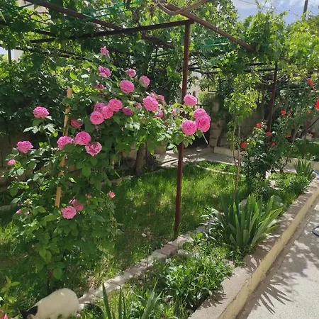 Acan Guenluek Kiralik Ev