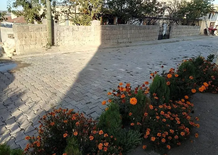 Apartment Acan Guenluek Kiralik Ev *