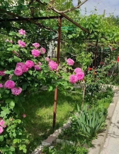 Apartment Acan Guenluek Kiralik Ev Ürgüp