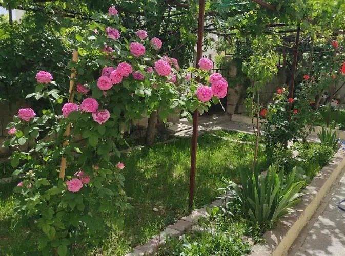 Acan Guenluek Kiralik Ev